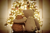 Very Beary Christmas