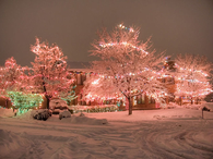 Pretty Pastel Lights