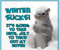 Winter Sucks