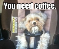 you need coffee