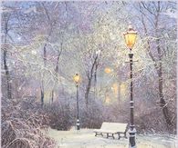 Snow in the Park