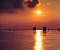 Glittery sun reflection