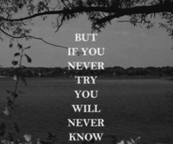 Never Try Never Know