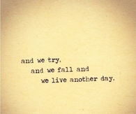 We Try We Fall