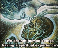 We Are Not Human Beings
