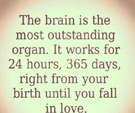 The Brain