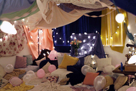 Sheet canopy and lights