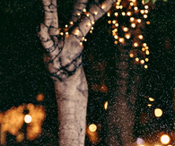 Snowfall and lights