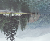 My upside down world