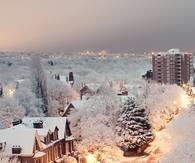 Blankets of white