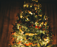 Trimming the tree