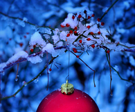 Red Christmas Ball