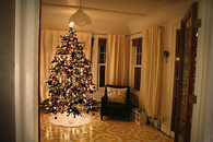 Christmas tree in the living room