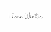 I love winter
