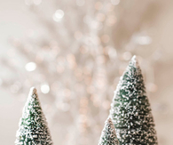 Small christmas trees