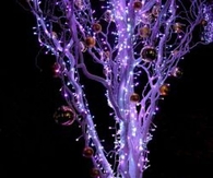Purple Christmas Lights