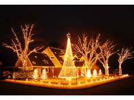 Pretty Christmas Lights