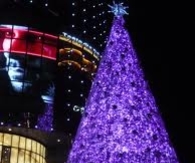 Dazzling Christmas Tree