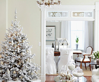 All White Christmas