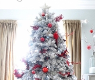 Crimson and White Tree