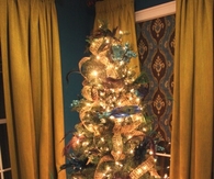 Peacock feather tree
