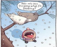 funny birds
