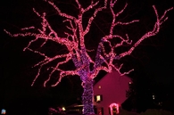 Pink Outdoor Christmas Lights