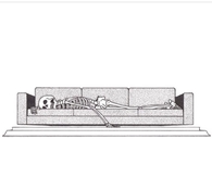 Skeleton