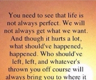 Life Isnt Perfect