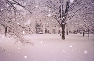Snowy Day