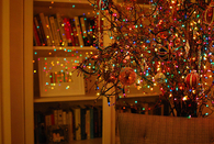 Christmas Lights