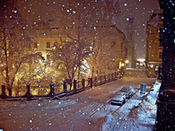 Winter Lights