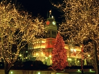 Bright City
