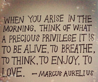 when you arise in the morning