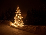 Christmas Night