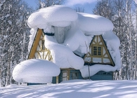 Winter in Japan