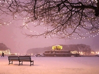 Winter Night in Chicago