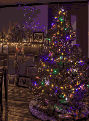 Pretty Christmas Tree Gif