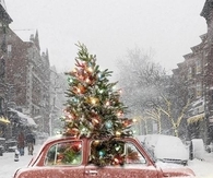 An odd Christmas sight