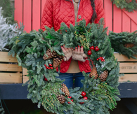 Huge Christmas wreath