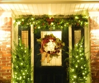 Evergreen lights