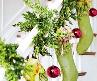 Plant stockings