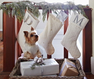 Lettered stockings and gifts