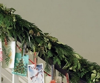 Picture garland