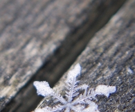 Snowflake 