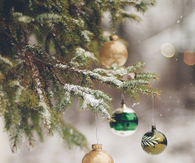 Outdoor ornaments