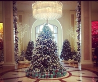 Fancy Christmas tree