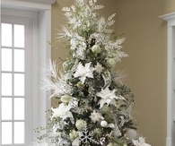 Winter evergreen tree