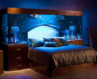Aquarium bed