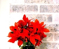 Floral jingle bells